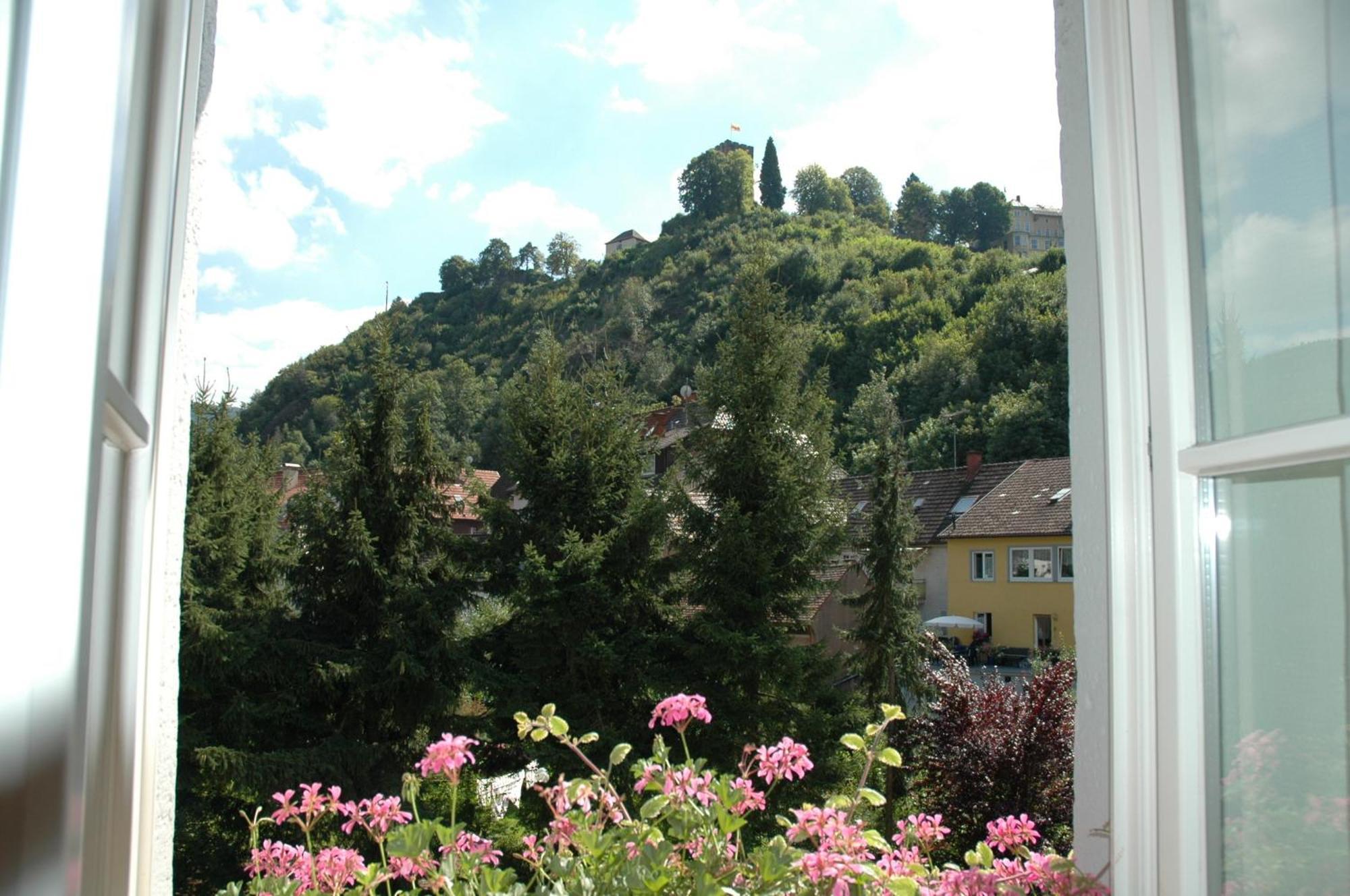 Gasthaus Schuetzen Hornberg Luaran gambar